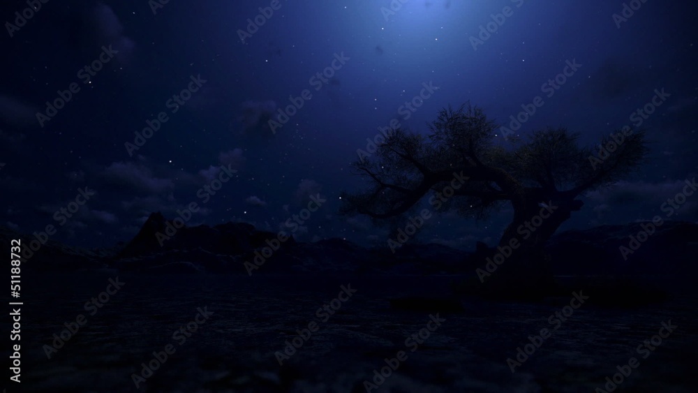 Solitary Tree and Mountain, Time Lapse Solitary Tree and Mountain, Time Lapse