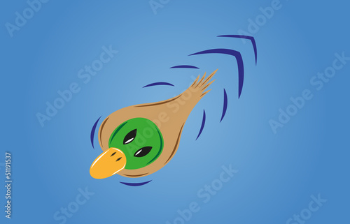 green duck on the blue water - view from the top