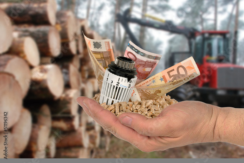 Fototapeta Naklejka Na Ścianę i Meble -  Thermostat und Geld mit Holzpellets in einer Hand