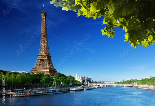Eiffel tower  Paris. France