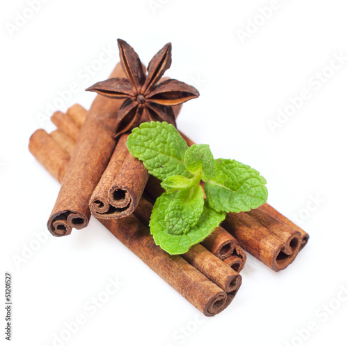 cinnamon sticks and mint