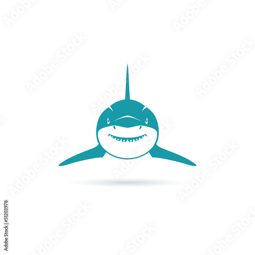Front view shark