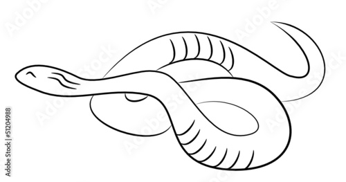 serpent
