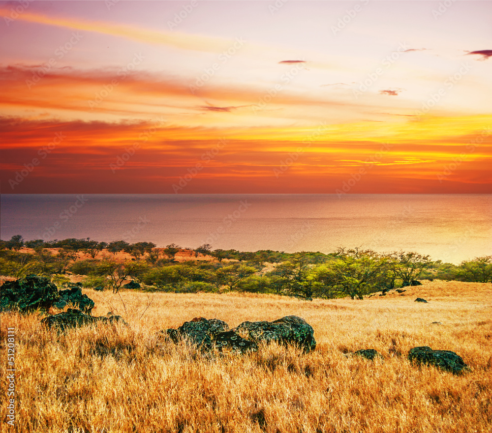 Colorful sunset around field and ocean Colorful sunset around field and ocean