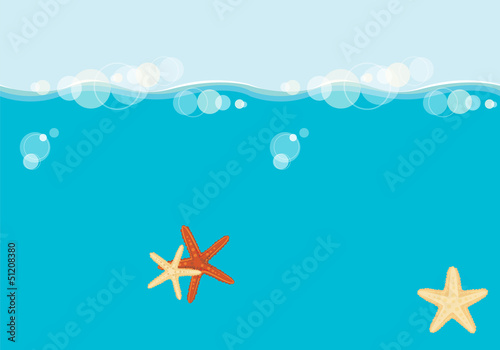 Starfish floating in the sea