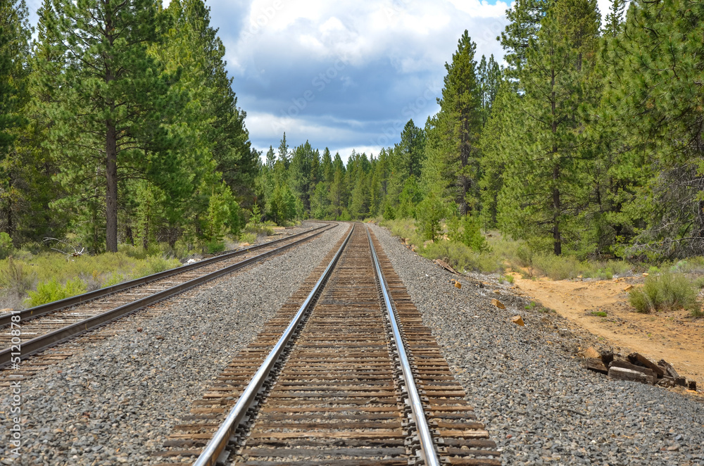 Fototapeta premium Railway Tracks Through a Forest and Cloudy Sky