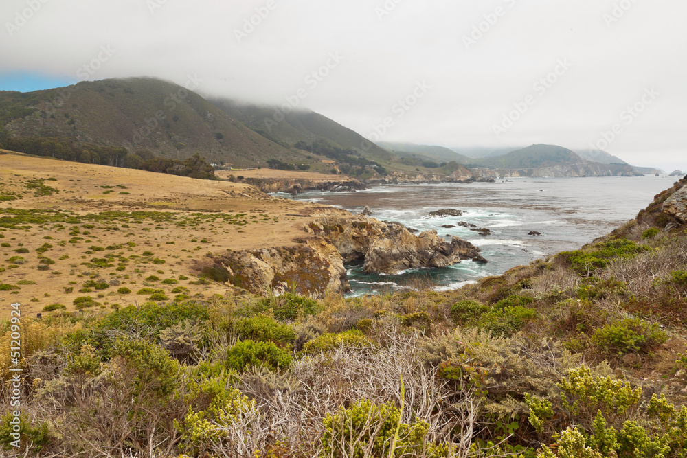 Coast of Big Sur with rocks and vegetation. California. USA.