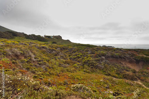 Coast of Big Sur with rocks and vegetation. California. USA.