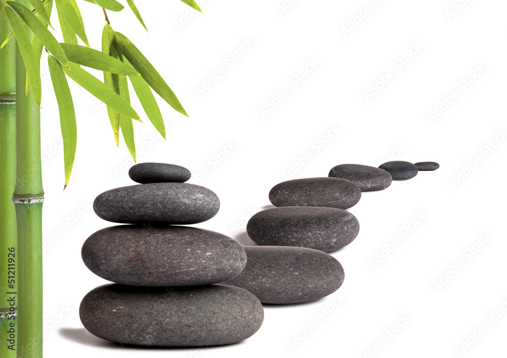 Lava stones with bamboo sprouts, isolated on white background Lava stones with bamboo sprouts, isolated on white background