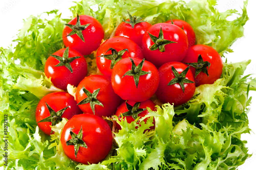 fresh lettuces salad with fresh tomatoes fresh lettuces salad with fresh tomatoes