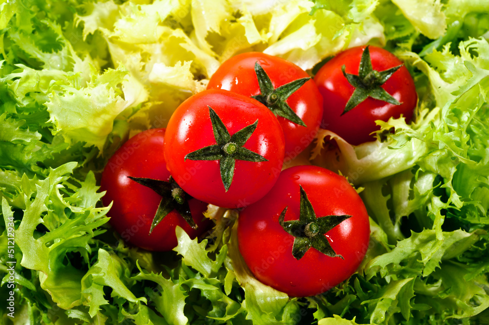 fresh lettuces salad with fresh tomatoes fresh lettuces salad with fresh tomatoes