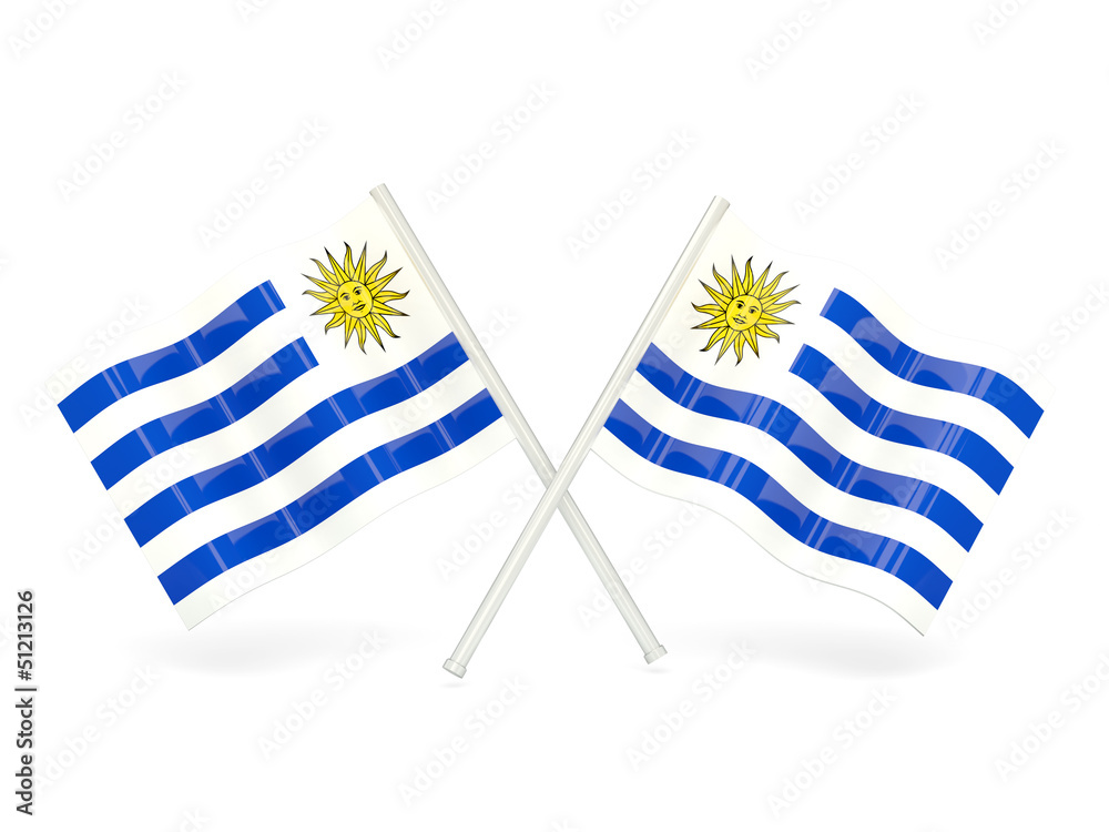 Fototapeta premium Flag of uruguay