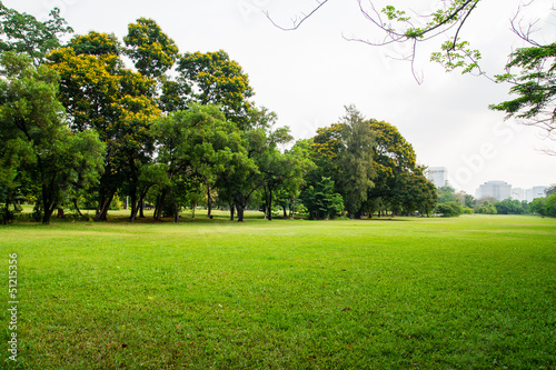 green grass field in big city park