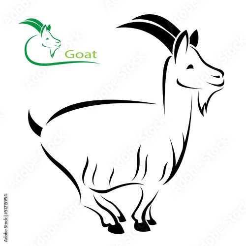 Vector image of an goat on white background