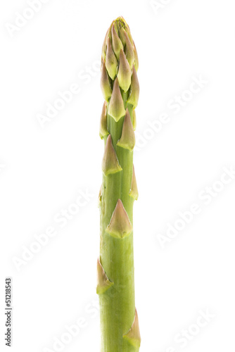 Spargelspitze freigestellt - grüner Spargel