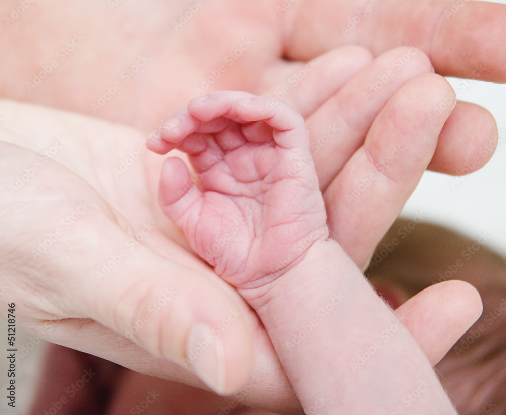parental hand holds a palm of the baby parental hand holds a palm of the baby