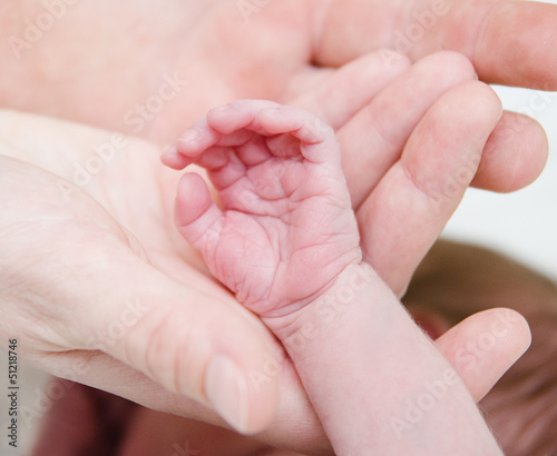 parental hand holds a palm of the baby