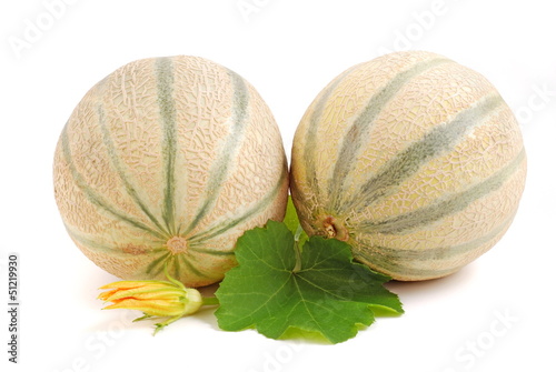 Melon