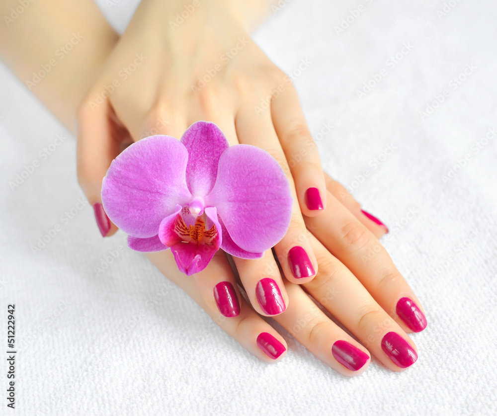 Beautiful hands with manicure and purple orchid flower Beautiful hands with manicure and purple orchid flower