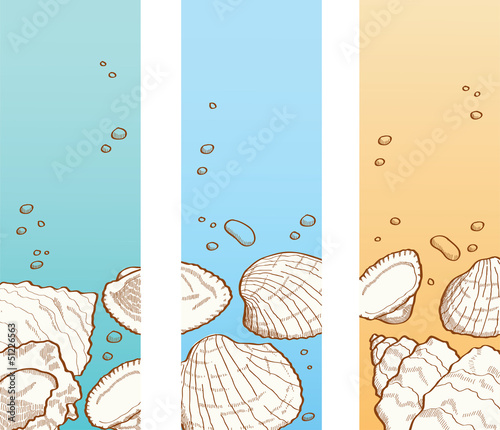 Seashell banner set