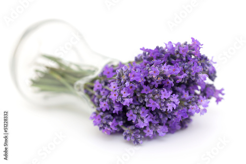 lavender in a glass pitcher