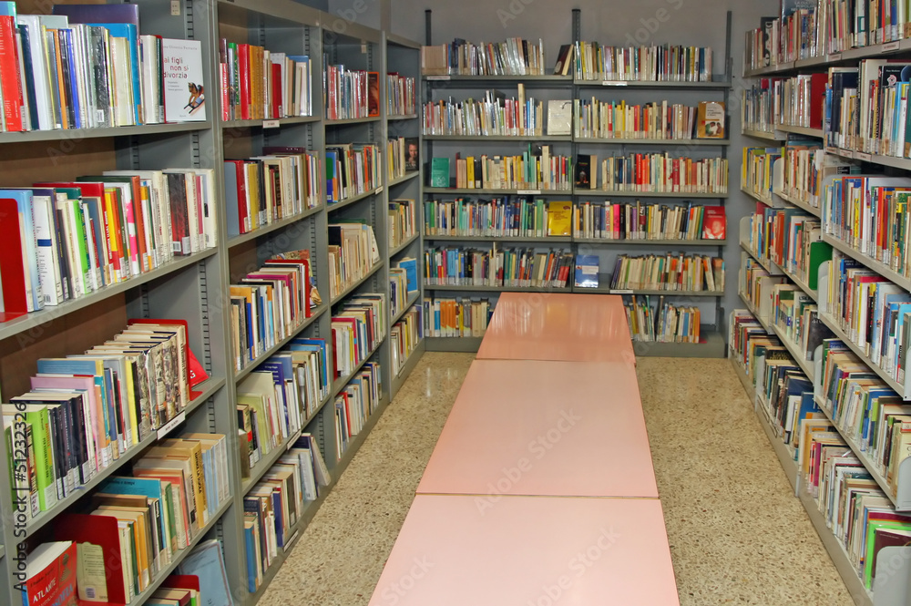 public library with many books to borrow