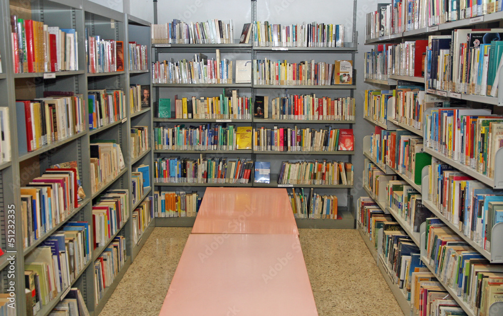public library with many books to borrow public library with many books to borrow