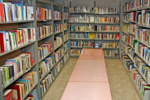 public library with many books to borrow © ChiccoDodiFC