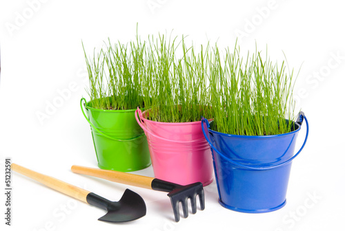 Colored buckets with grass