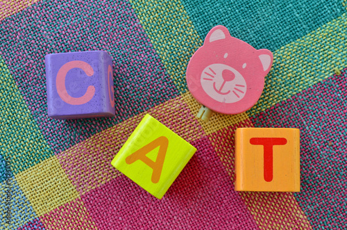Wooden alphabet blocks - Cat