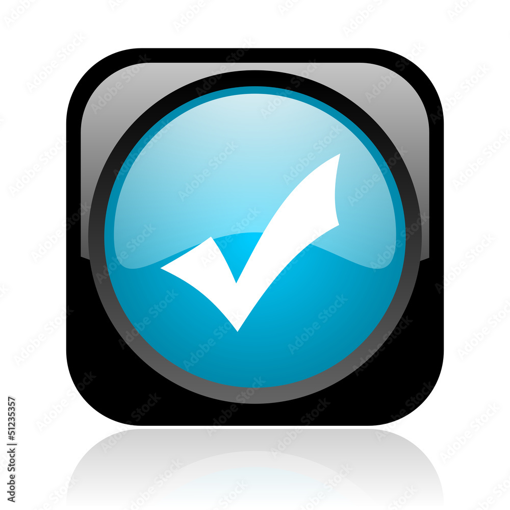 accept black and blue square web glossy icon accept black and blue square web glossy icon