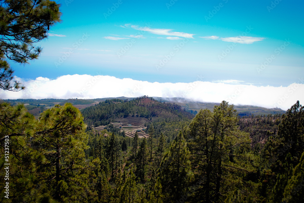 the island Tenerife, the view from the mountain on the way to