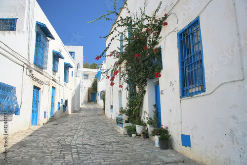 Street in Sidi Bou in Tunisia © Vladislav Gajic