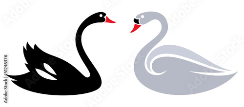 Royal Swans