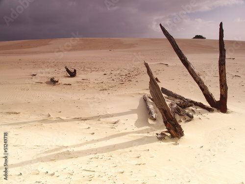 Henty Dunes in Tasmania photo