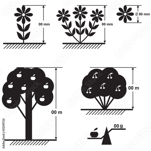 Flowers and trees size scheme