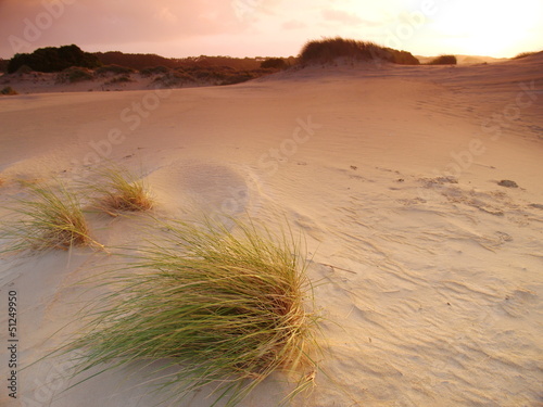 Henty Dunes in Tasmania