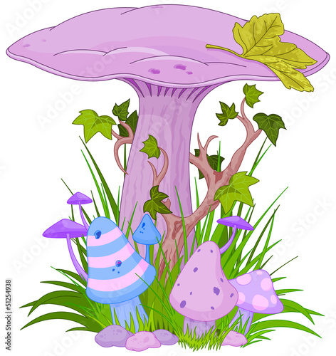 Magic mushroom