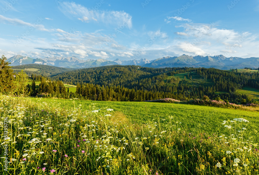 Summer mountain evening country view