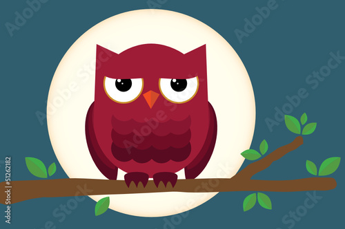 Owl at Night