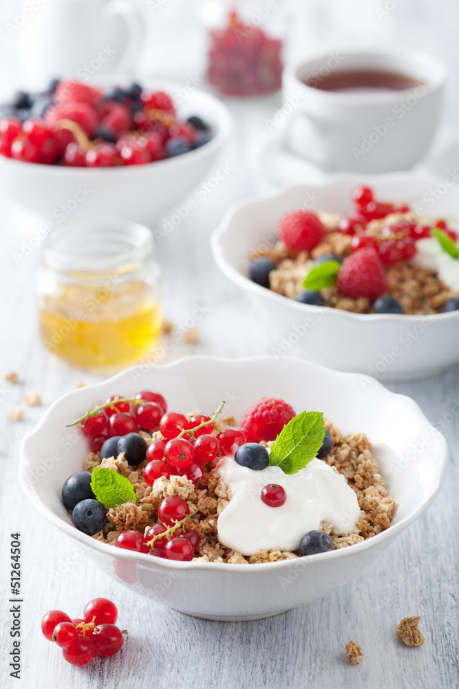 healthy breakfast with yogurt and granola healthy breakfast with yogurt and granola