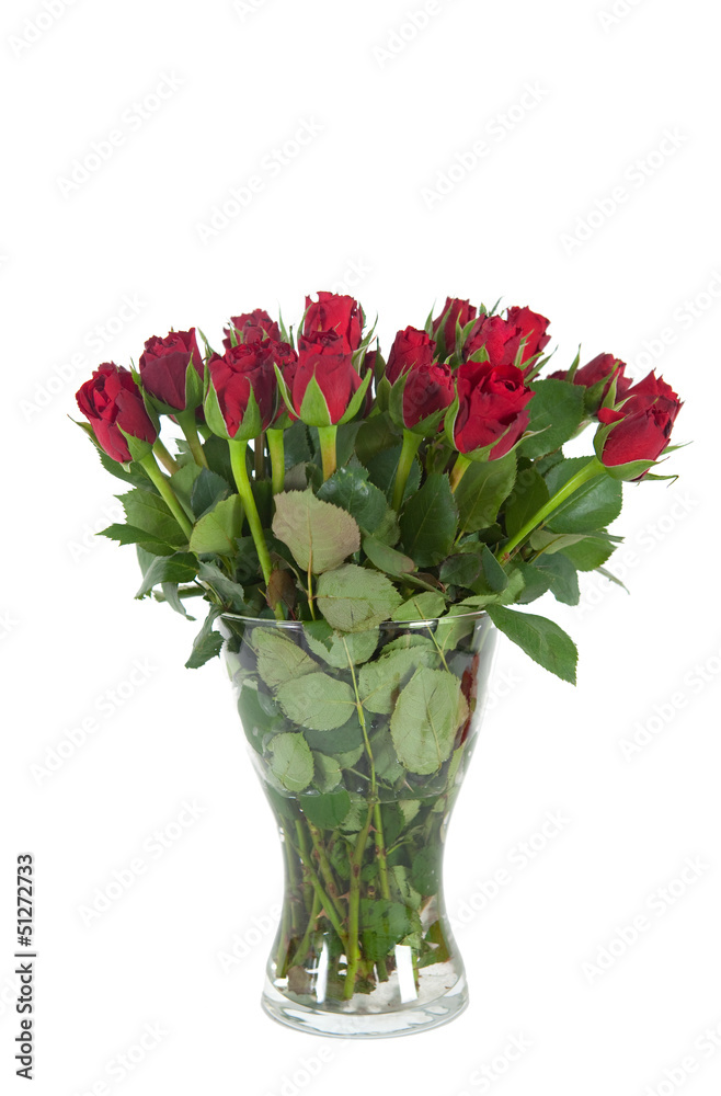 Rote Rosen Rote Rosen