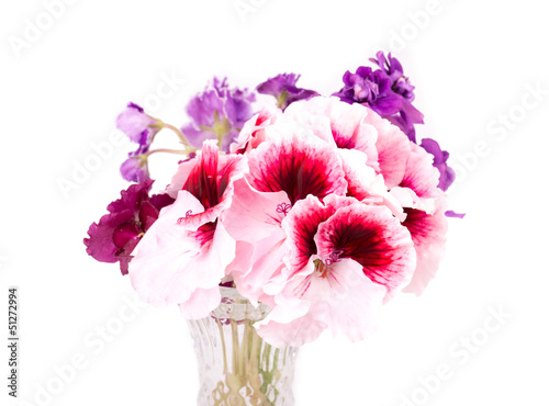 Fototapeta Naklejka Na Ścianę i Meble -  violet and geranium flowers