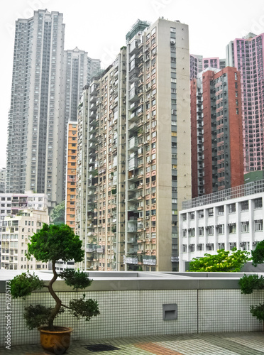 Skyscrapers in Hong Kong with bonsai