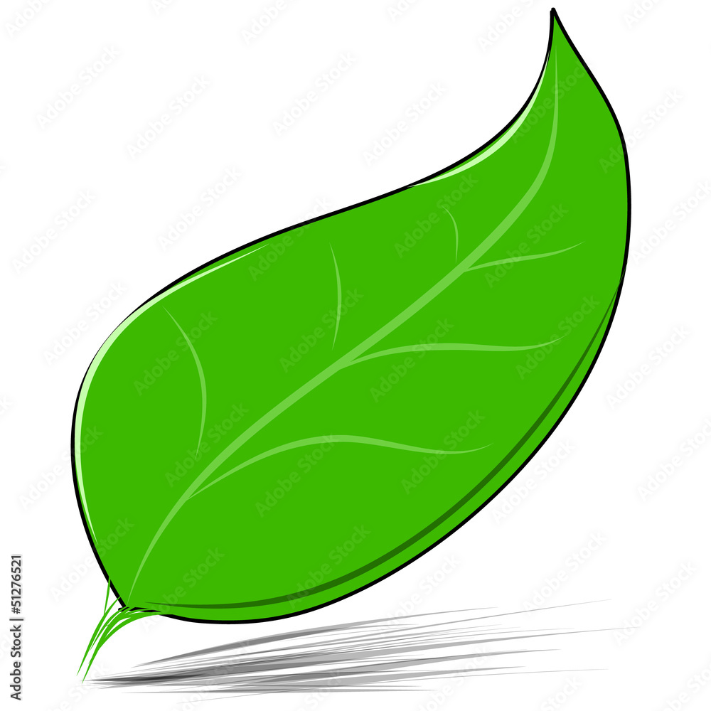 Green leaf isolated on white vector illustration Green leaf isolated on white vector illustration