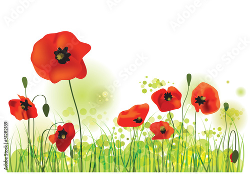 Poppies Field, vector illustration