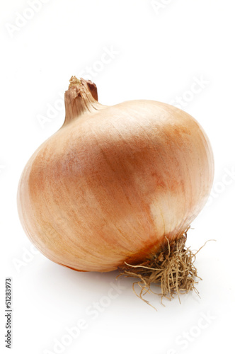 Onion