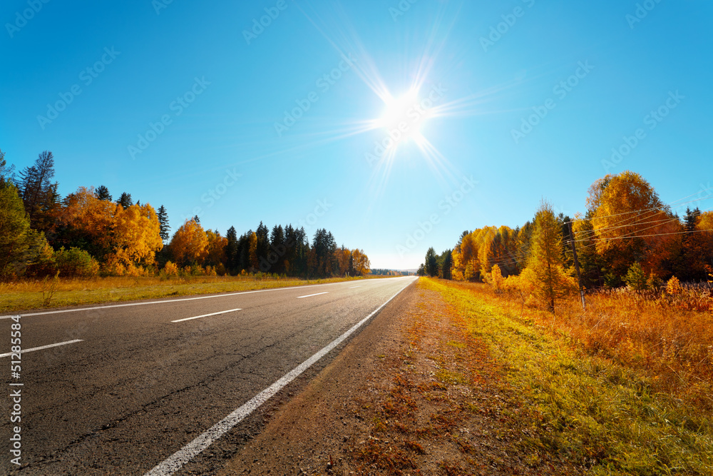 Obraz premium road in autumn