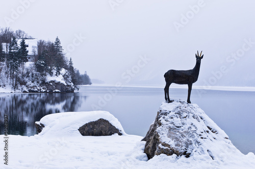 In memory to an old alpen legend of the Goldhorn, lake Bohinj photo