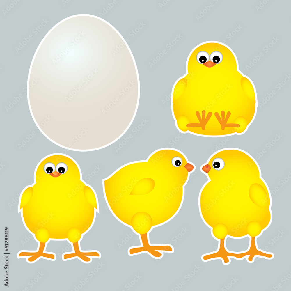 chicks with egg